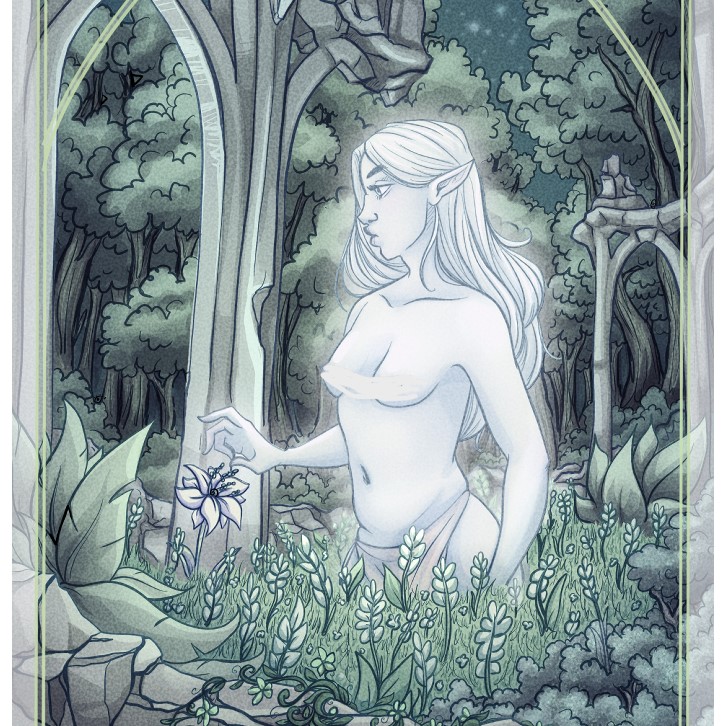 Fairy Garden